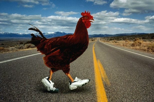 Descubre el mundo misterioso de la Ruta del Pollo en España online, chicken road españa